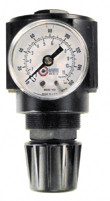 Coilhose Pneumatics 27R4-GH Compressed Air Regulator: 1/2" NPT, 250 Max psi, Standard