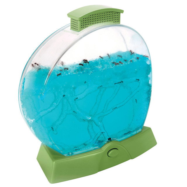 EDUCATIONAL INSIGHTS EI-5144 Geosafari Day "n Night Ant Factory EDUCATIONAL INSIGHTS EI-5144 Geosafari Day "n Night Ant Factory