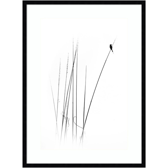 UNIEK INC. A42705346204 Amanti Art A Sabbatical Bird by Swapnil Wood Framed Wall Art Print, 34inH x 25inW, Black UNIEK INC. A42705346204 Amanti Art A Sabbatical Bird by Swapnil Wood Framed Wall Art Print, 34inH x 25inW, Black
