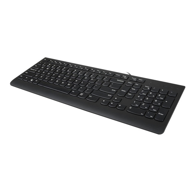 LENOVO, INC. GX30M39655 Lenovo 300 USB Keyboard, Black, GX30M39655