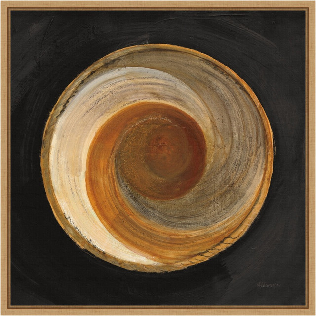 UNIEK INC. A42705038173 Amanti Art Woven Beauty I on Black by Albena Hristova Framed Canvas Wall Art Print, 16inH x 16inW, Maple