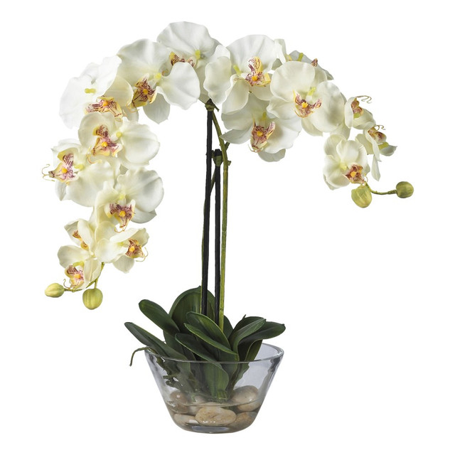 NEARLY NATURAL INC. 4643-WH Nearly Natural 18inH Phalaenopsis Silk Flower Arrangement With Glass Vase, White NEARLY NATURAL INC. 4643-WH Nearly Natural 18inH Phalaenopsis Silk Flower Arrangement With Glass Vase, White