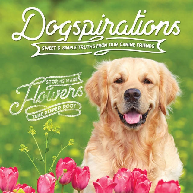 WILLOW CREEK PRESS 48406  5-1/2in x 5-1/2in Hardcover Gift Book, Dogspirations
