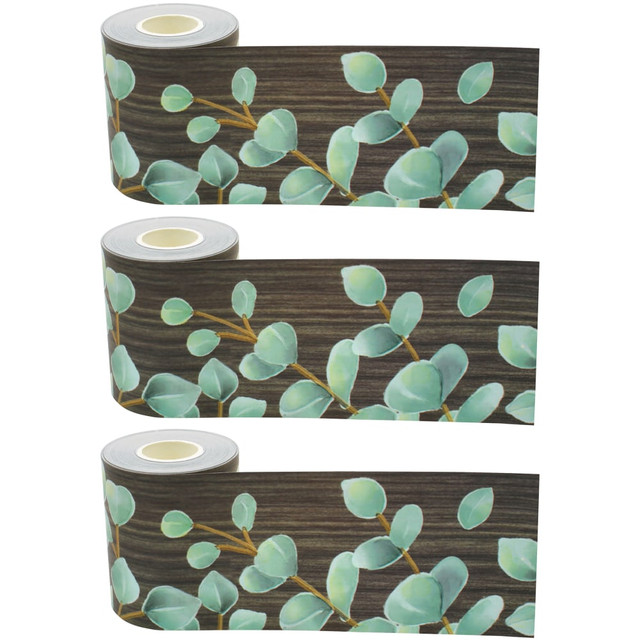 EDUCATORS RESOURCE TCR8923-3 Teacher Created Resources Straight Rolled Border Trim, Eucalyptus, 50' Per Roll, Pack Of 3 Rolls