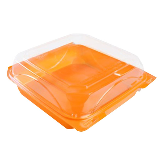 TRYTEN TECHNOLOGIES INC. COX99BBTG Clamshell Containers, 9in x 9in Large, Clear, Carton Of 200