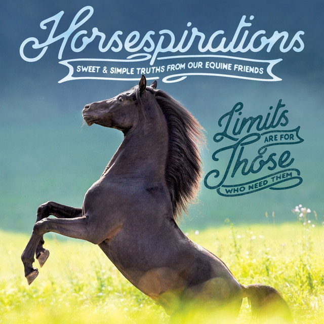 WILLOW CREEK PRESS 48499  5-1/2in x 5-1/2in Hardcover Gift Book, Horsespirations