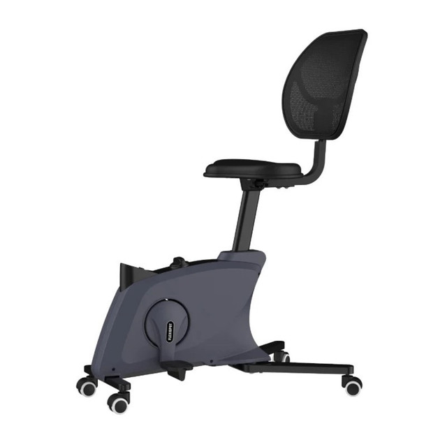 ZOXOU INC. FC211B-A FlexiSpot FC211 Fitness Chair, Black