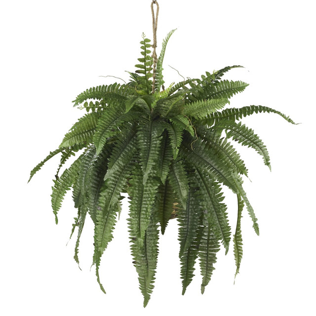 NEARLY NATURAL INC. 6774 Nearly Natural 22inH Large Boston Fern With Hanging Basket, Green/Brown NEARLY NATURAL INC. 6774 Nearly Natural 22inH Large Boston Fern With Hanging Basket, Green/Brown