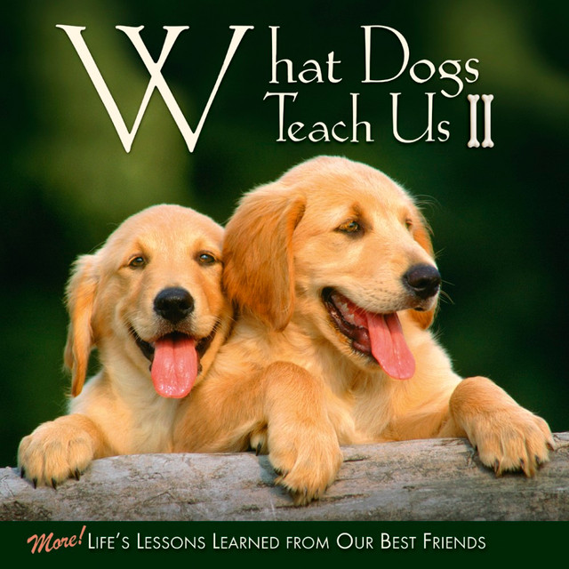 WILLOW CREEK PRESS 38393  5-1/2in x 5-1/2in Hardcover Gift Book, What Dogs Teach Us 2 By Glenn Dromgoole