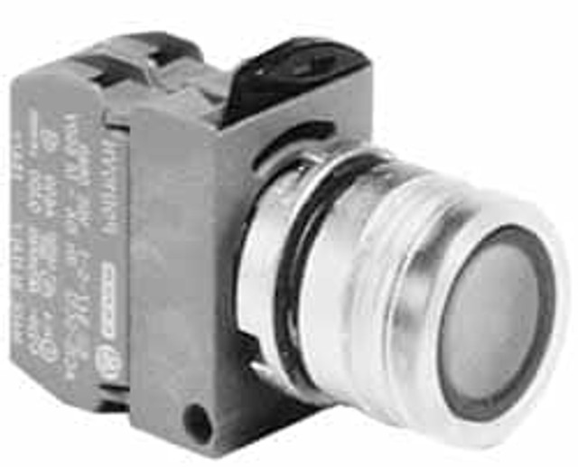 Springer N5CPLRSDFL 120 V, 120 VAC Red Lens Incandescent Press-to-Test Indicating Light