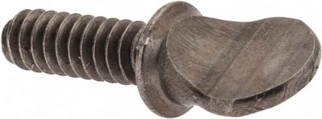 Value Collection 0606TSP 2 Steel Thumb Screw: #6-32, Oval Head