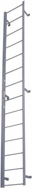 Cotterman 3570209 Steel Wall Mounted Ladder: 99" High, 9 Steps, 300 lb Capacity