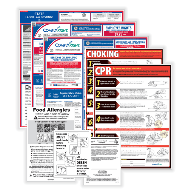 TAX FORMS PRINTING, INC. U1200CBORESTDE ComplyRight Restaurant Federal (Bilingual) And State (English) Labor Law 1-Year Poster Service, Delaware