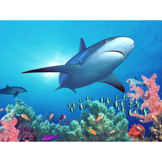 PETSTEP INTERNATIONAL, INC. BG-WM-SRF-48 Biggies Landscape/Seascape Mural, 48in x 36in, Unframed, Shark Reef