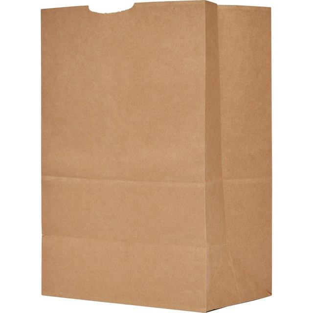 AJM PACKAGING CORPORATION SK1657 The Bag Company General Grocery Kraft Paper Bags, 17in x 12in x 7in, Brown, Bundle Of 500 Bags