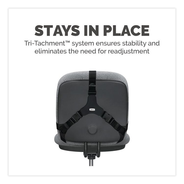 FELLOWES MFG. CO. 8037601 Professional Series Back Support with Microban Protection, 15 x 2 x 14.5, Black