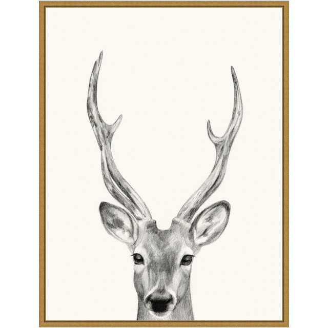 UNIEK INC. Amanti Art A42705040723  Animal Mug IV Deer by Victoria Borges Framed Canvas Wall Art Print, 24inH x 18inW, Gold