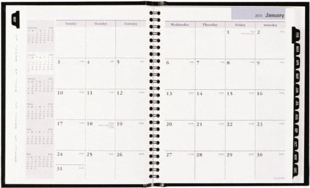 DayMinder AAGG400H00 Monthly Planner: 12 Sheets, Planner Ruled