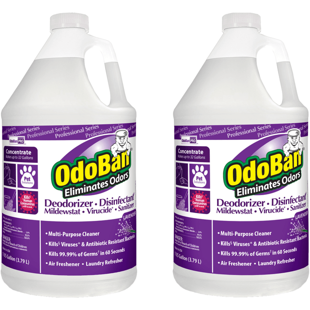 ODOBAN 911162G2-OD Professional Disinfectant And Odor Eliminator Concentrate, Lavender Scent, 1 Gallon, Pack Of 2 Jugs ODOBAN 911162G2-OD Professional Disinfectant And Odor Eliminator Concentrate, Lavender Scent, 1 Gallon, Pack Of 2 Jugs
