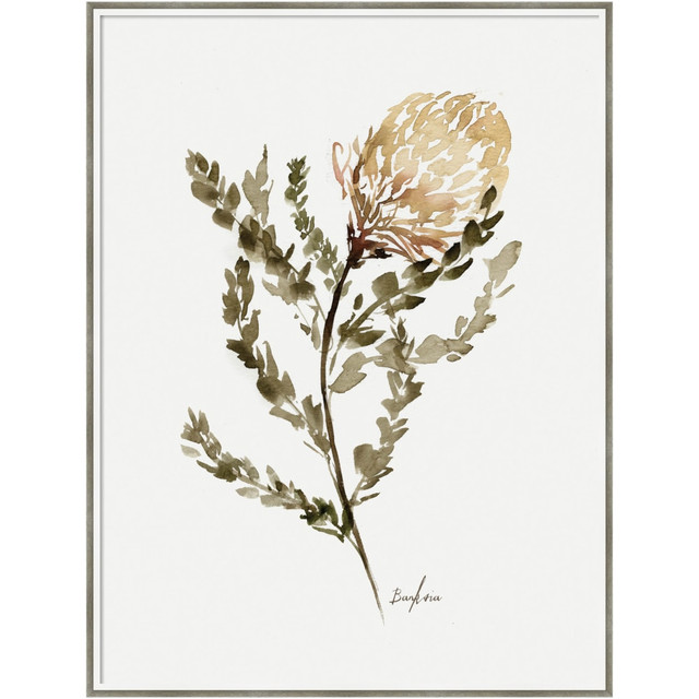 UNIEK INC. A42707158732 Amanti Art Wild Banksia by Sara Berrenson Wood Framed Wall Art Print, 31inW x 41inH, White