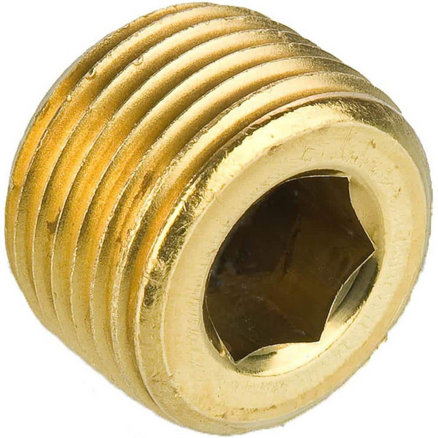 Parker 219P-2 Industrial Pipe Hollow Hex Plug: 1/8" Male Thread, MNPTF