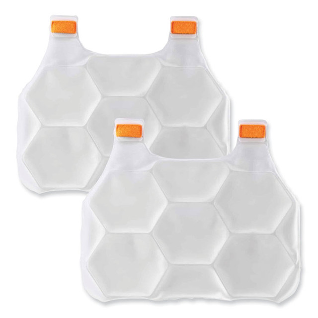 TENACIOUS HOLDINGS, INC. ergodyne® 12201 Chill-Its 6220 Phase Change Cooling Vest Charge Packs, Small/Medium, 16.25 x 12, 2/Pack