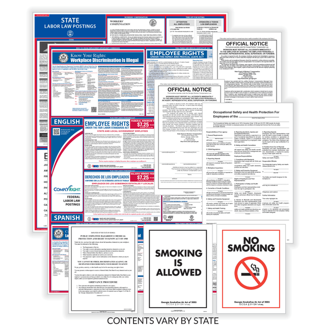 TAX FORMS PRINTING, INC. EFEDSTCRPSECBMN ComplyRight Public Sector Federal (Bilingual) And State (English) Poster Set, Minnesota TAX FORMS PRINTING, INC. EFEDSTCRPSECBMN ComplyRight Public Sector Federal (Bilingual) And State (English) Poster Set, Minnesota