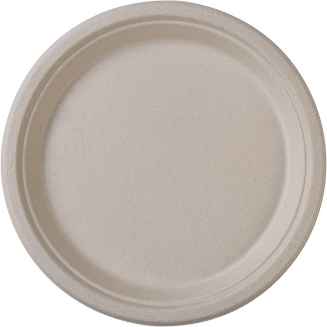 Genuine Joe 10232CT Genuine Joe 10" Compostable Plates