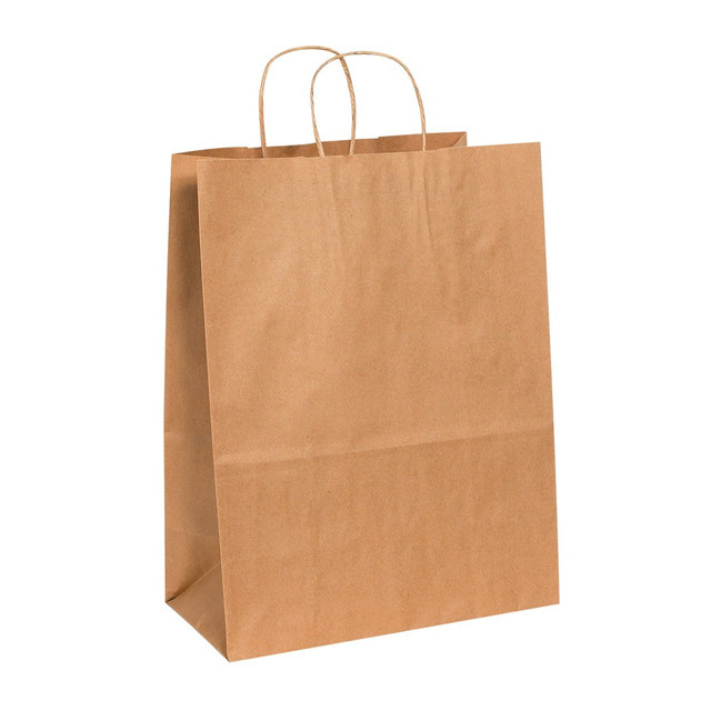 B O X MANAGEMENT, INC. BGS106K Partners Brand Paper Shopping Bags, 17inH x 13inW x 7inD, Kraft, Case Of 250