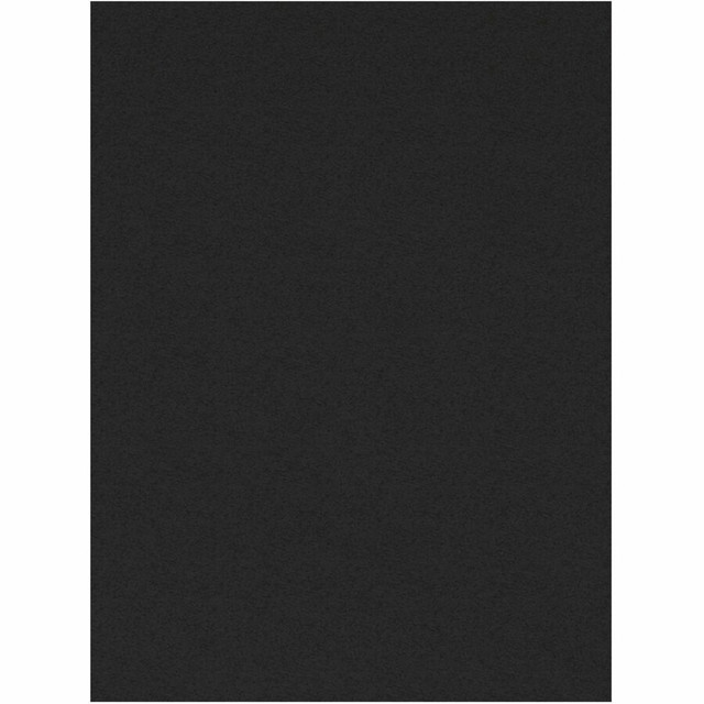 Dixon Ticonderoga Company Dixon 103029 Tru-Ray Construction Paper