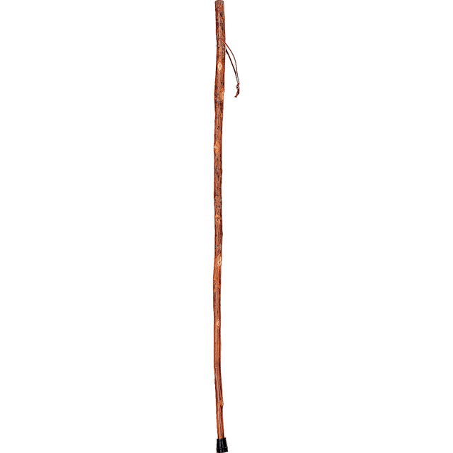 BRAZOS WALKING STICKS Brazos 602-3000-1127  Walking Sticks Free Form Hickory Walking Stick, 58in