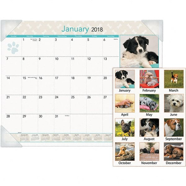AT-A-GLANCE AAGDMD16632 Desk Pad Calendar: 12 Sheets