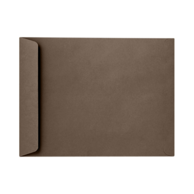 ACTION ENVELOPE EX1644-17-50 LUX Open-End Envelopes, 6in x 9in, Peel & Press Closure, Chocolate Brown, Pack Of 50