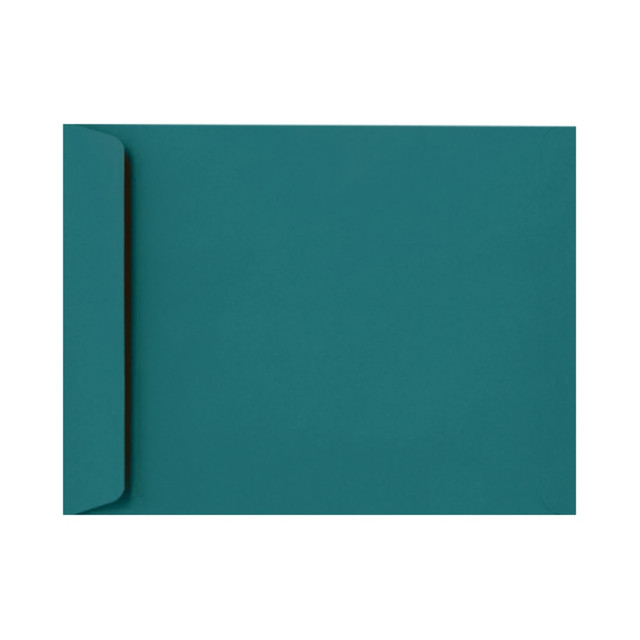 ACTION ENVELOPE EX4894-25-250 LUX Open-End 9in x 12in Envelopes, Peel & Press Closure, Teal, Pack Of 250 ACTION ENVELOPE EX4894-25-250 LUX Open-End 9in x 12in Envelopes, Peel & Press Closure, Teal, Pack Of 250