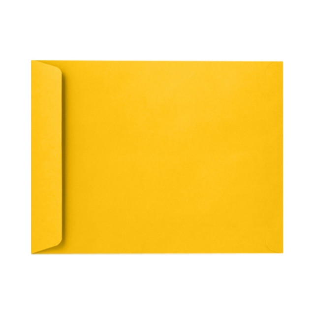 ACTION ENVELOPE EX1644-12-250 LUX Open-End Envelopes, 6in x 9in, Peel & Press Closure, Sunflower Yellow, Pack Of 250 ACTION ENVELOPE EX1644-12-250 LUX Open-End Envelopes, 6in x 9in, Peel & Press Closure, Sunflower Yellow, Pack Of 250