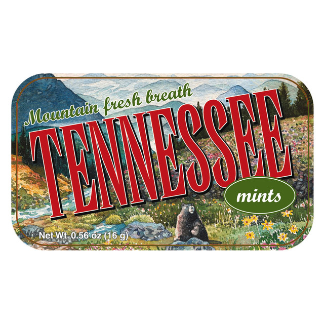 AMUSEMINTS, LLC MTR1067F AmuseMints Destination Mint Candy, Tennessee Green, 0.56 Oz, Pack Of 24