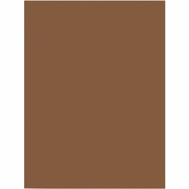 Dixon Ticonderoga Company Prang 6703 Prang Construction Paper Dixon Ticonderoga Company Prang 6703 Prang Construction Paper