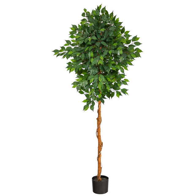 NEARLY NATURAL INC. T1441 Nearly Natural Ficus 72inH Artificial Plant With Planter, 72inH x 27inW x 16inD, Green/Black NEARLY NATURAL INC. T1441 Nearly Natural Ficus 72inH Artificial Plant With Planter, 72inH x 27inW x 16inD, Green/Black