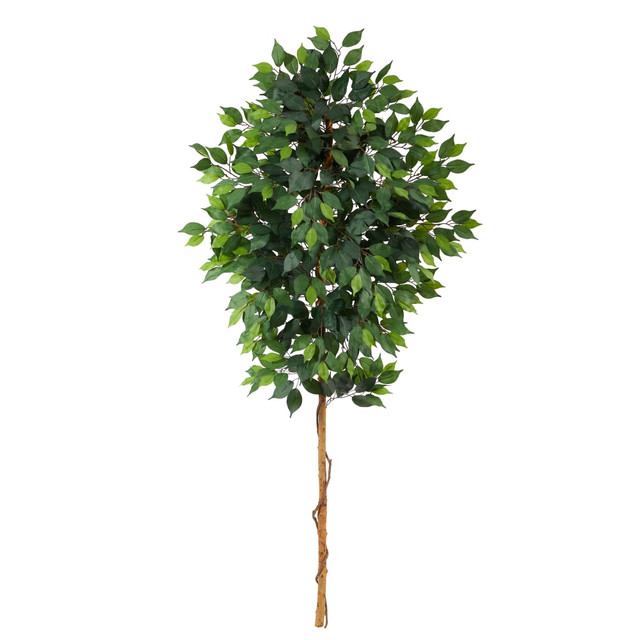 NEARLY NATURAL INC. T1411 Nearly Natural Ficus 72inH Artificial Plant, 72inH x 8inW x 8inD, Green NEARLY NATURAL INC. T1411 Nearly Natural Ficus 72inH Artificial Plant, 72inH x 8inW x 8inD, Green