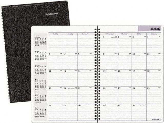 DayMinder AAGSK200 Monthly Planner: 24 Sheets, Planner Ruled