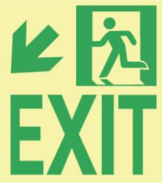 AccuformNMC 50F-6SN-DL Exit Sign: "Exit"