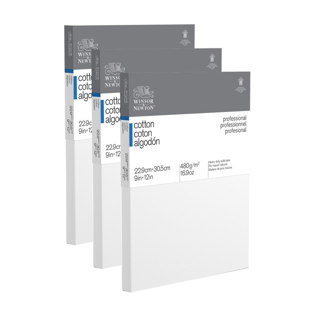 WINSOR & NEWTON Winsor &amp; Newton 3PK6203040 Winsor & Newton Professional Cotton-Stretched Traditional Canvases, 12in x 9in, White, Pack Of 3
