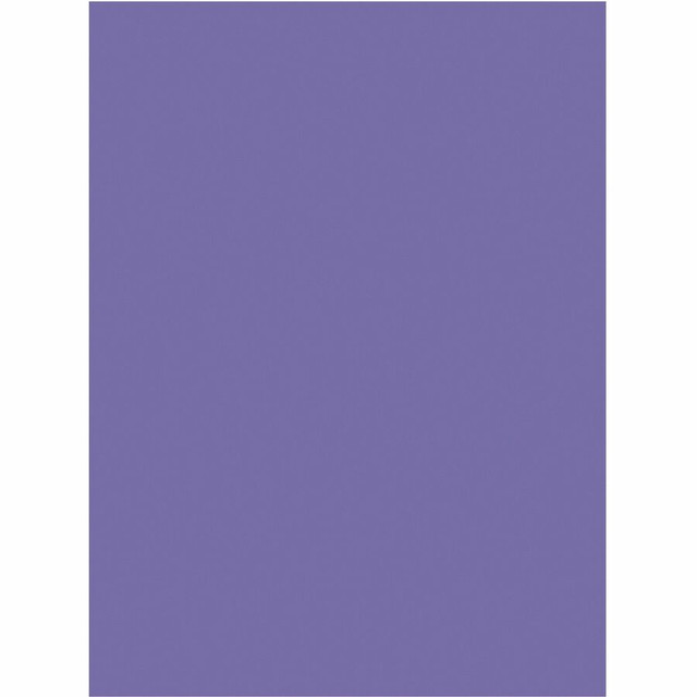 Dixon Ticonderoga Company Dixon 103009 Tru-Ray Heavyweight Construction Paper
