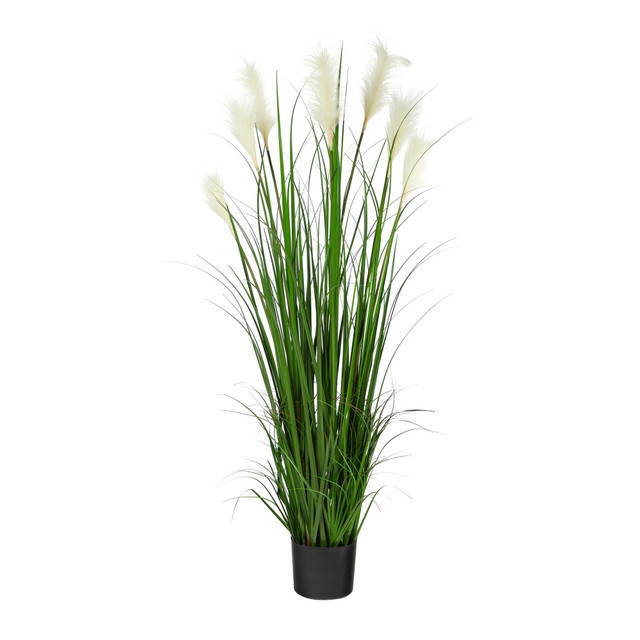 NEARLY NATURAL INC. P1679 Nearly Natural Plume Grass 54inH Artificial Plant With Planter, 54inH x 27inW x 27inD, Green/Black NEARLY NATURAL INC. P1679 Nearly Natural Plume Grass 54inH Artificial Plant With Planter, 54inH x 27inW x 27inD, Green/Black