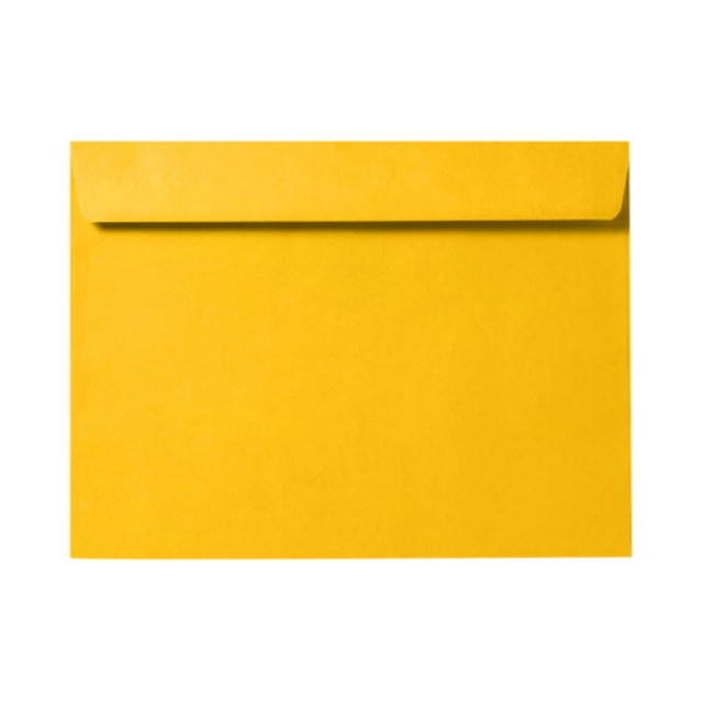 ACTION ENVELOPE EX4820-12-50 LUX Booklet 6in x 9in Envelopes, Gummed Seal, Sunflower Yellow, Pack Of 50 ACTION ENVELOPE EX4820-12-50 LUX Booklet 6in x 9in Envelopes, Gummed Seal, Sunflower Yellow, Pack Of 50