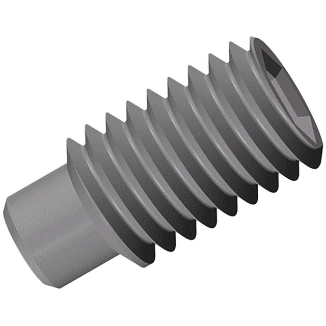 Iscar 7003866 Set Screw for Indexables: Hex Socket Drive, M2.5 Thread