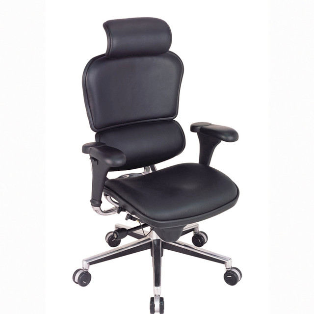 RAYNOR MARKETING, LTD. Eurotech LE9ERG  Ergohuman Ergonomic Bonded Leather High-Back Chair, Black/Chrome