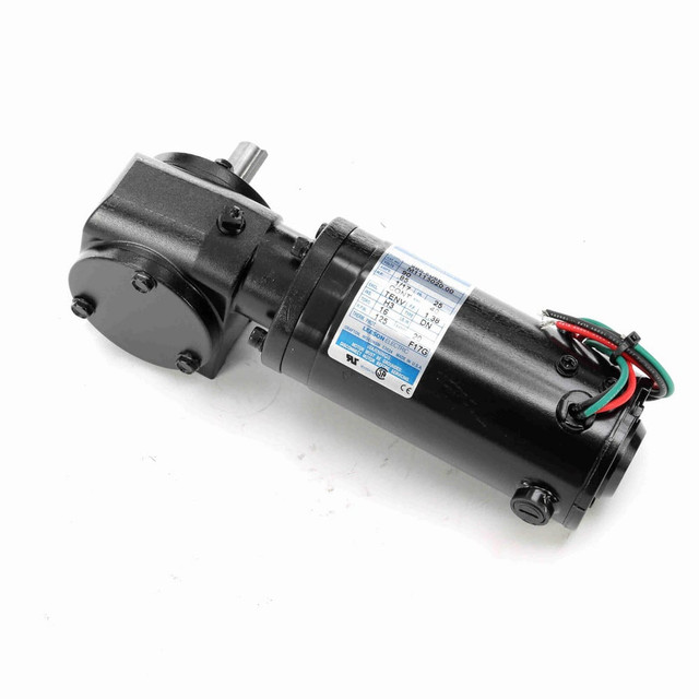 Leeson M1115020.00 DC Motor: TENV Enclosure, 1/17 hp, 125 Nameplate RPM