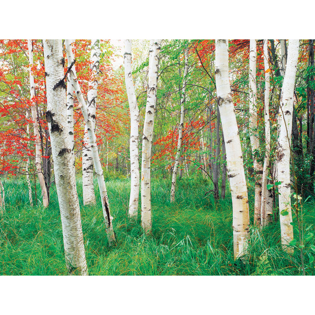 PETSTEP INTERNATIONAL, INC. BG-WM-AGV-48 Biggies Landscape/Seascape Mural, 48in x 36in, Unframed, Aspen