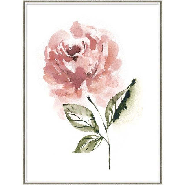 UNIEK INC. A42707158882 Amanti Art Blush Rose Muted by Sara Berrenson Wood Framed Wall Art Print, 41inH x 31inW, White